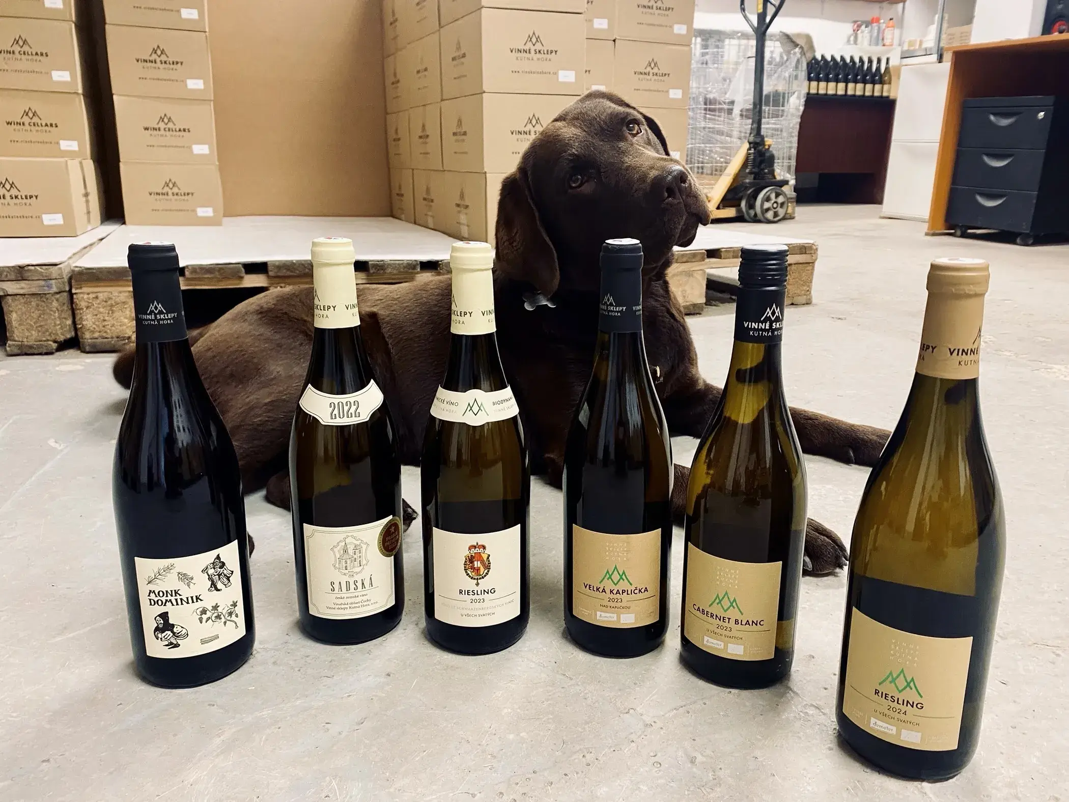 Hudba na vinicích, netradiční prohlídky kláštera i nová bedna aneb léto v plném proudu
