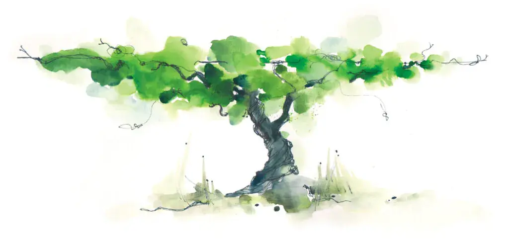 Tvoříme prostor, <br>kde se daří *přírodě i lidem*