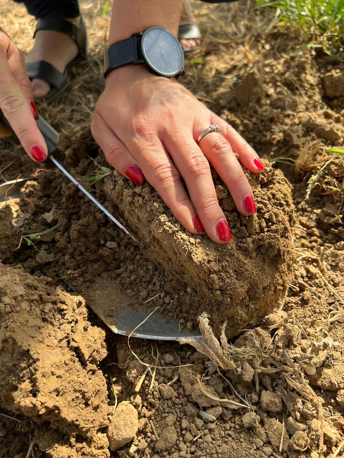 Vzdělání je klíč <br>*ke zdravé budoucnosti*