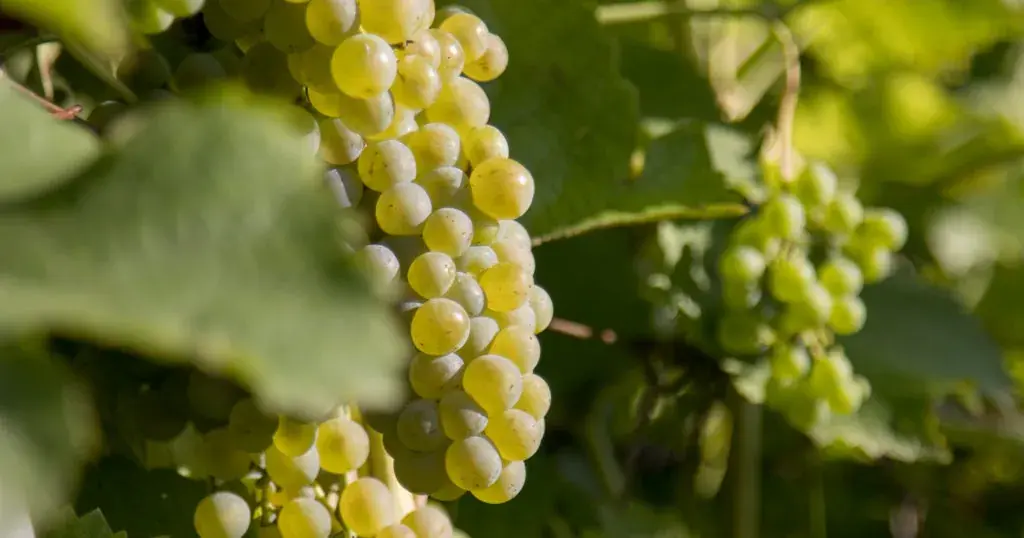 Tvoříme prostor, kde se daří *přírodě i lidem.*