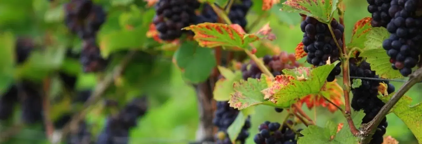 Neváhejte se ozvat,<br>*jsme zde pro vás*