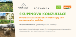 Skupinová konzultace - diverzifikace zemědělské výroby a její vliv na ekonomiku podniku