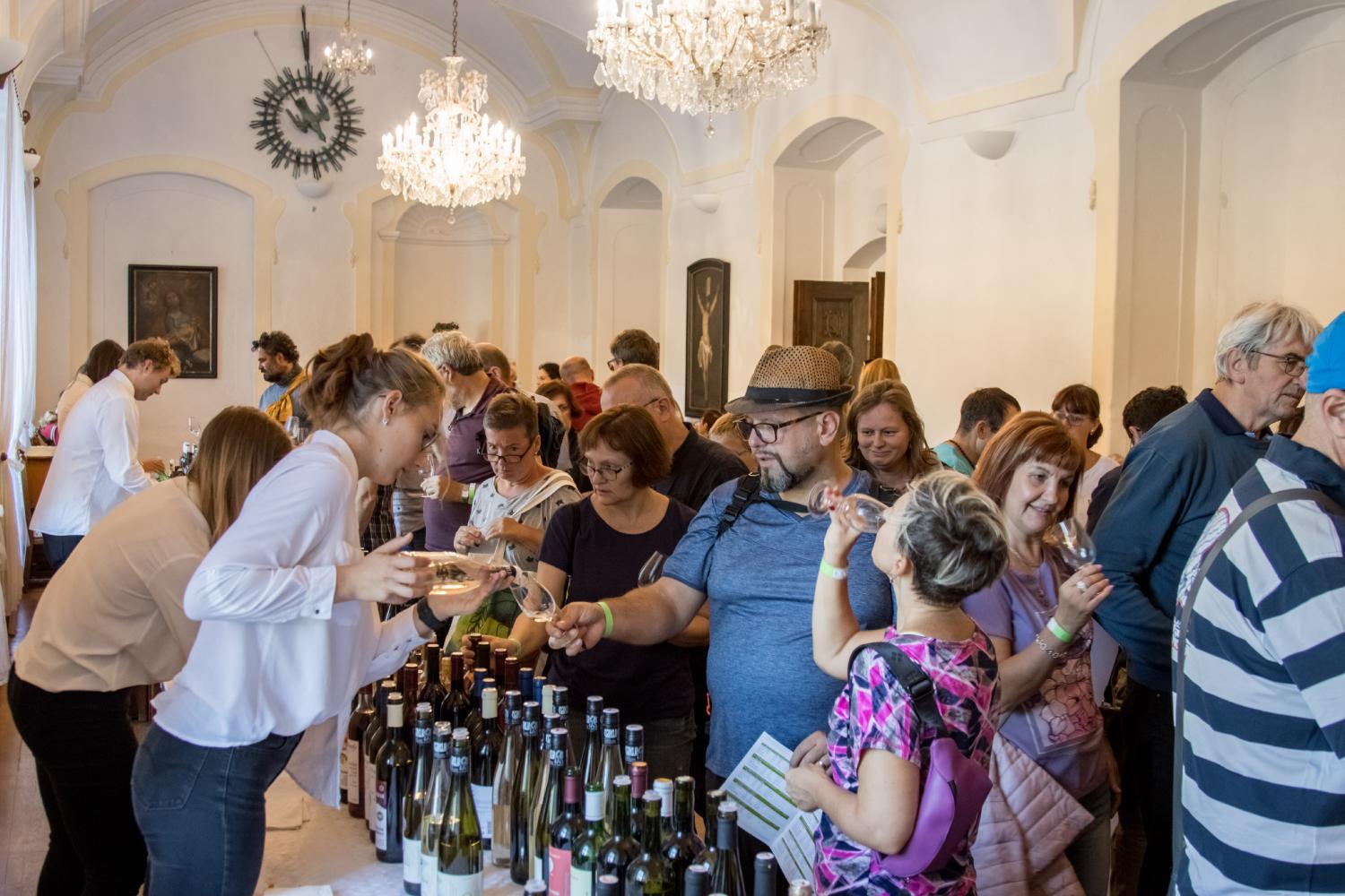 Svatováclavské slavnosti - výstava vín VO Čechy