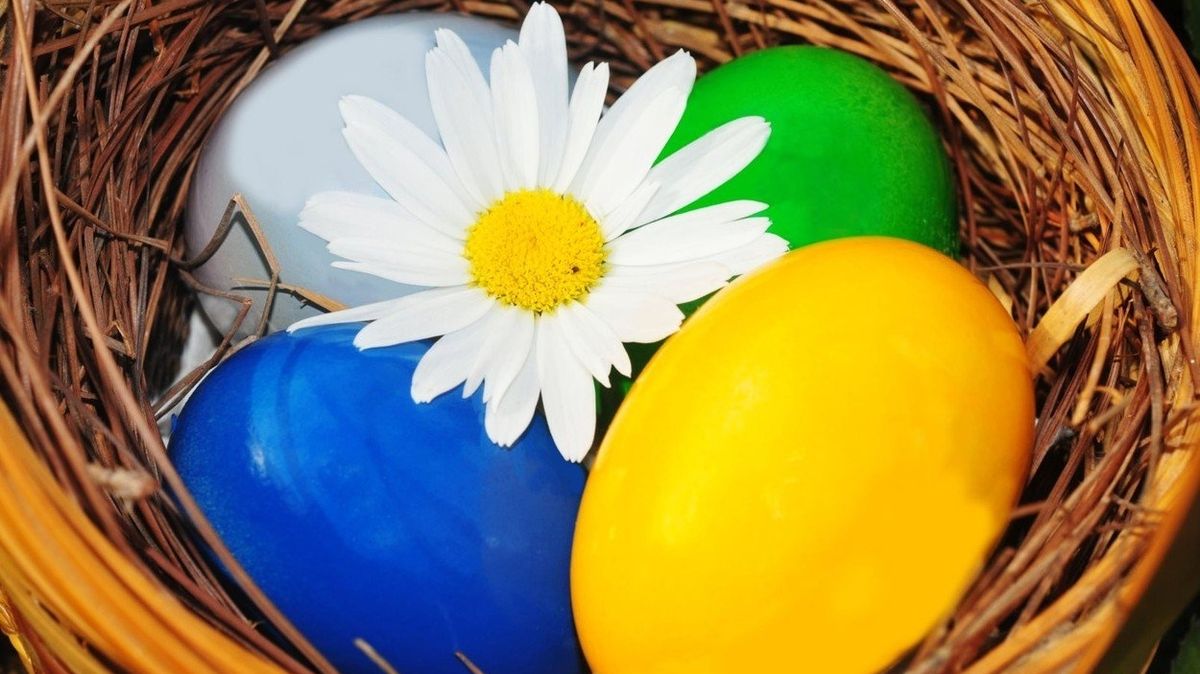 Přečtete si více ze článku Velikonoce, vejce, víno a praštěná dieta