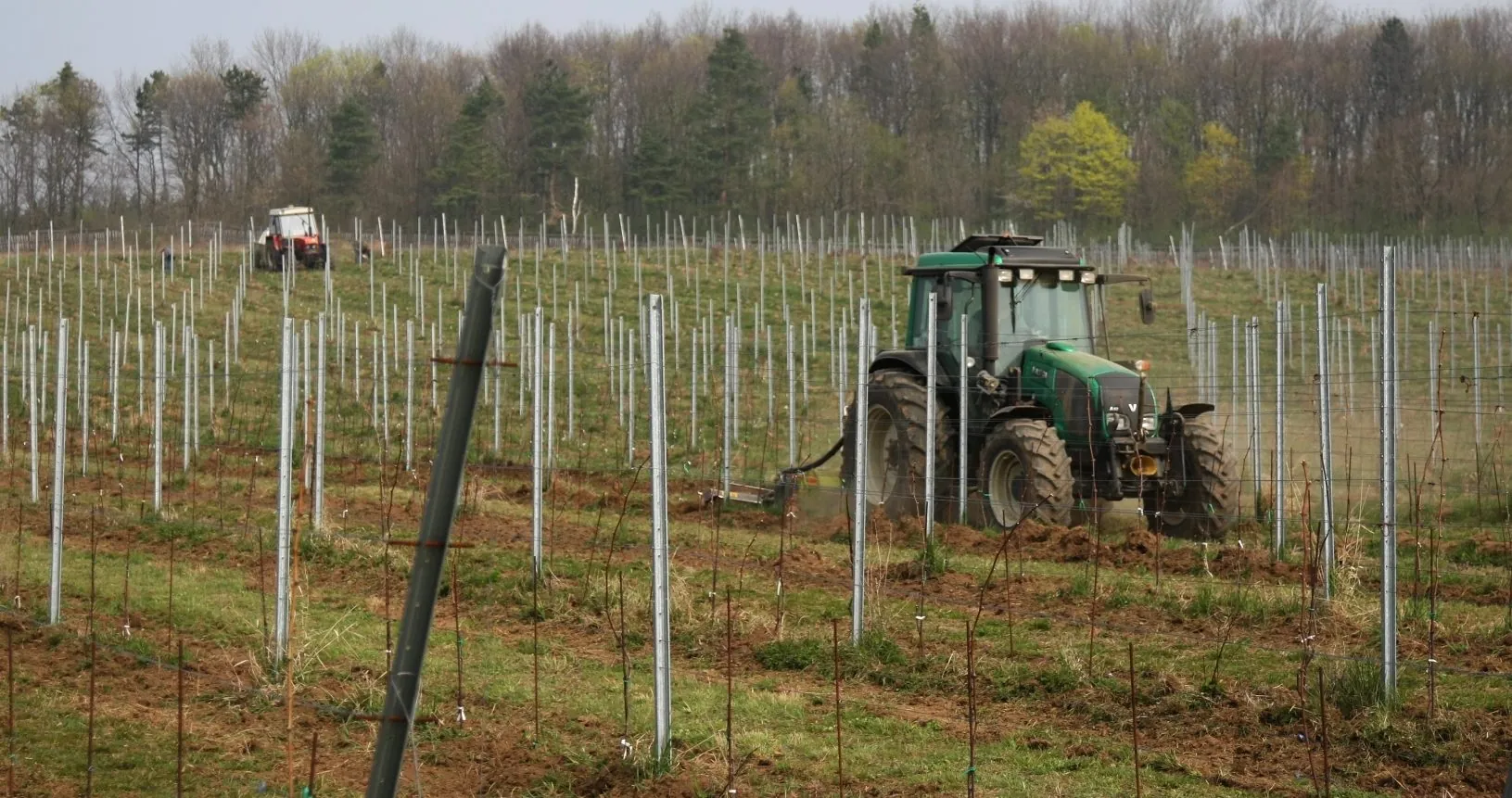 Přečtete si více ze článku Hledáme vedoucího výroby – agronoma