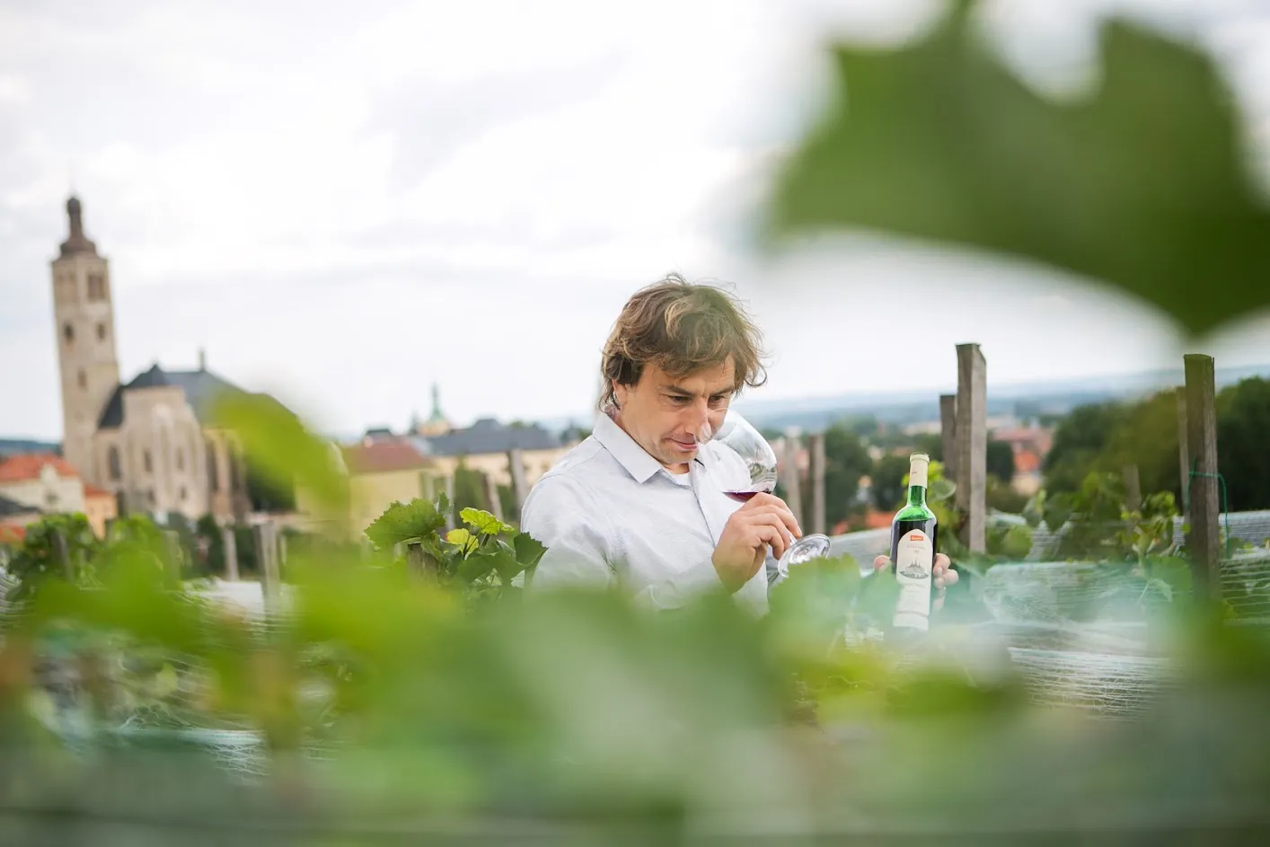 Přečtete si více ze článku Jak vzniklo biodynamického zemědělství