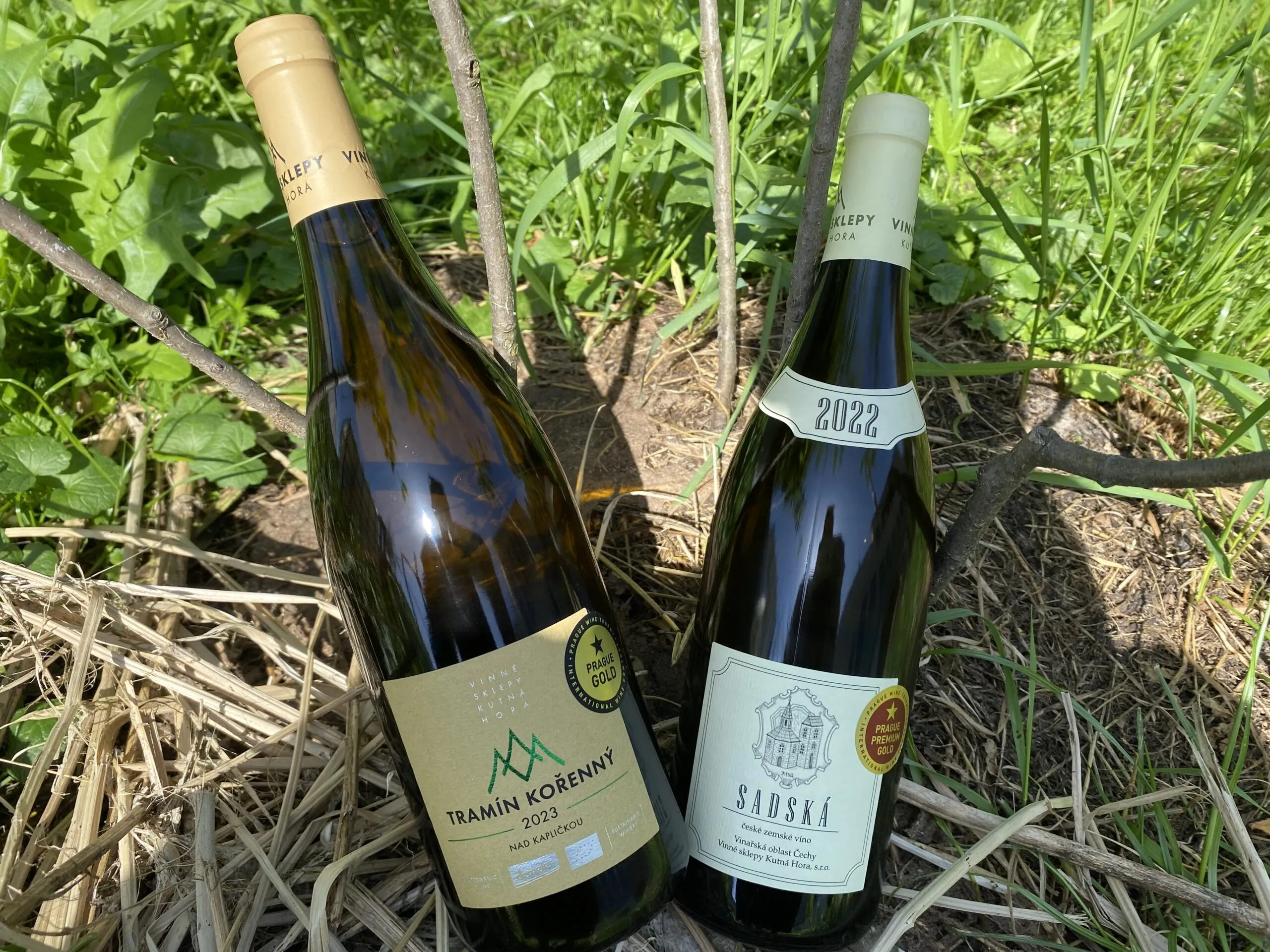 Přečtete si více ze článku VEZEME MEDAILE Z PRAGUE WINE TROPHY!
